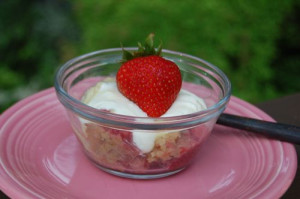 a strawberry rhubarb crumble 014