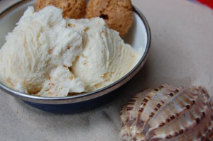 blog apricot ice cream