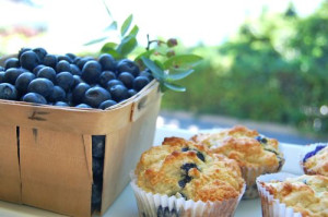 blog blueberry muffin