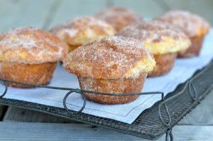 blog donut muffin