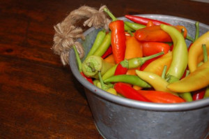 blog hot peppers