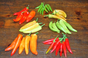 blog more hot peppers