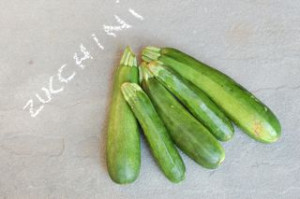 blog zucchini