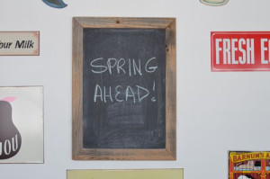 blog spring  ahead