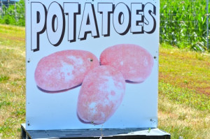 farm potato