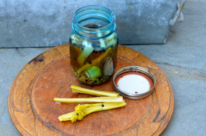 blog pickled celery