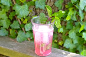 blog rhubarb mojito